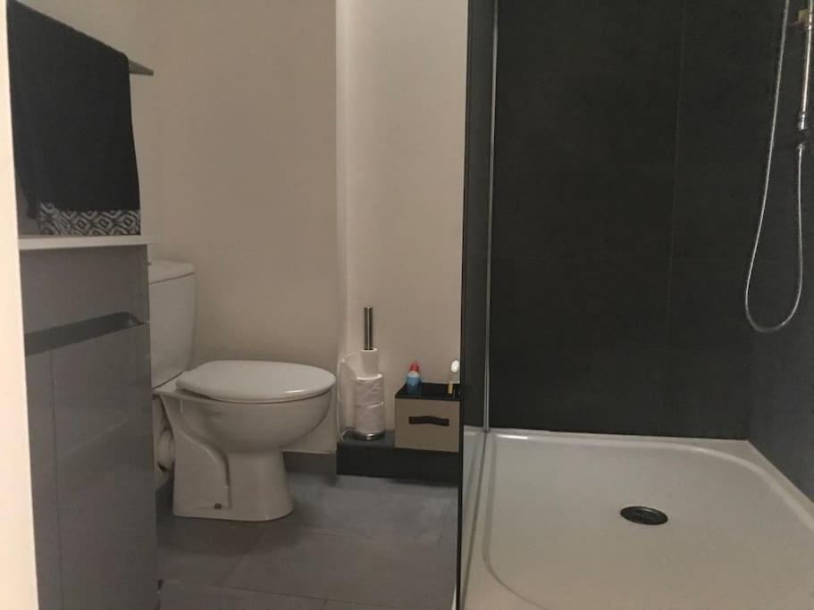 קרקסון Appartement Avec Terrasse Centre De La Bastide מראה חיצוני תמונה
